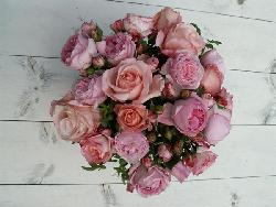 Romantique Rose Soft